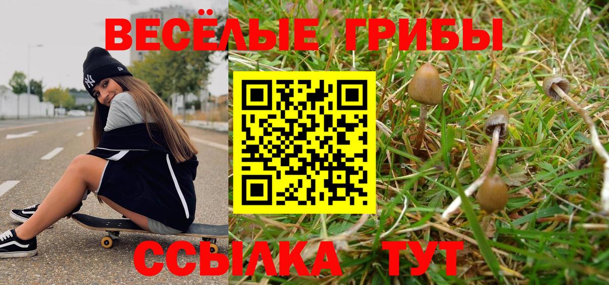 Псилоцибиновые грибы прущие грибы  Вход с VPN  Стрежевой 